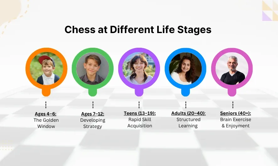 Chess at different life stages.webp